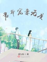 君爷宠妻无度